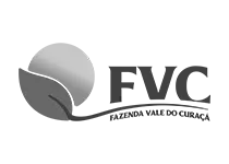 Logomarca Fazenda Vale do Curaçá